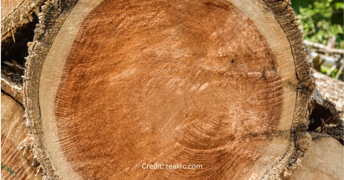 why teak wood durable