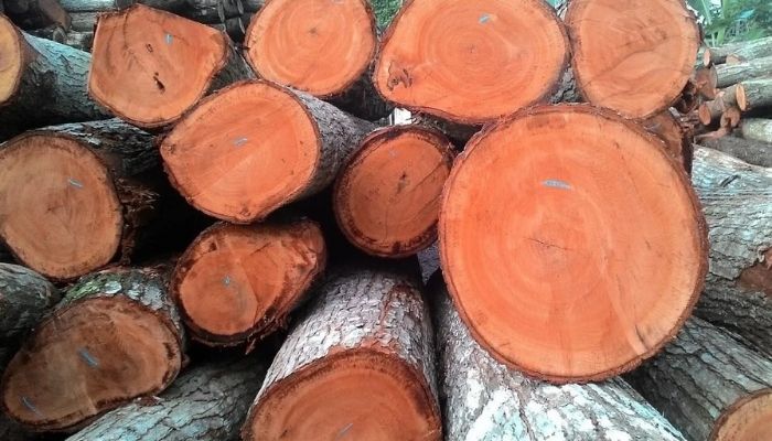 types of hardwood furniture