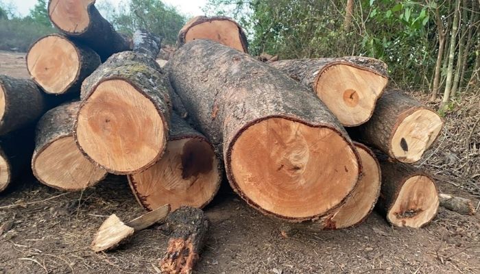 kinds of wood furniture