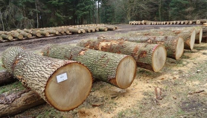 wooden furniture types