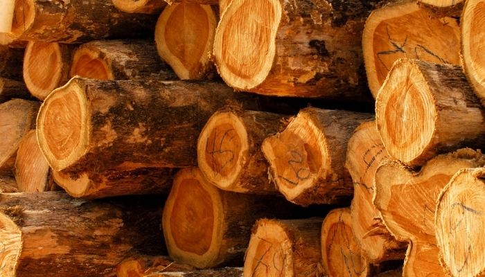 best outdoor wooden furniture 