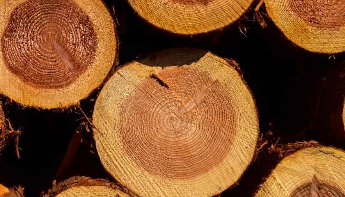 cheapest wood for outdoor furniture