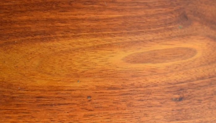 chinese teak wood varieties