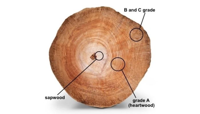 republic furniture grade a teak wood