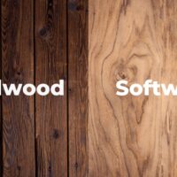 hardwood vs softwood lumber