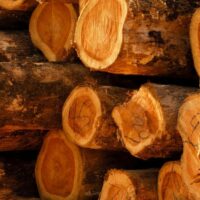 teak wood from indonesia