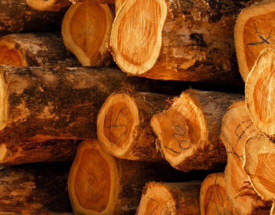 teak wood from indonesia