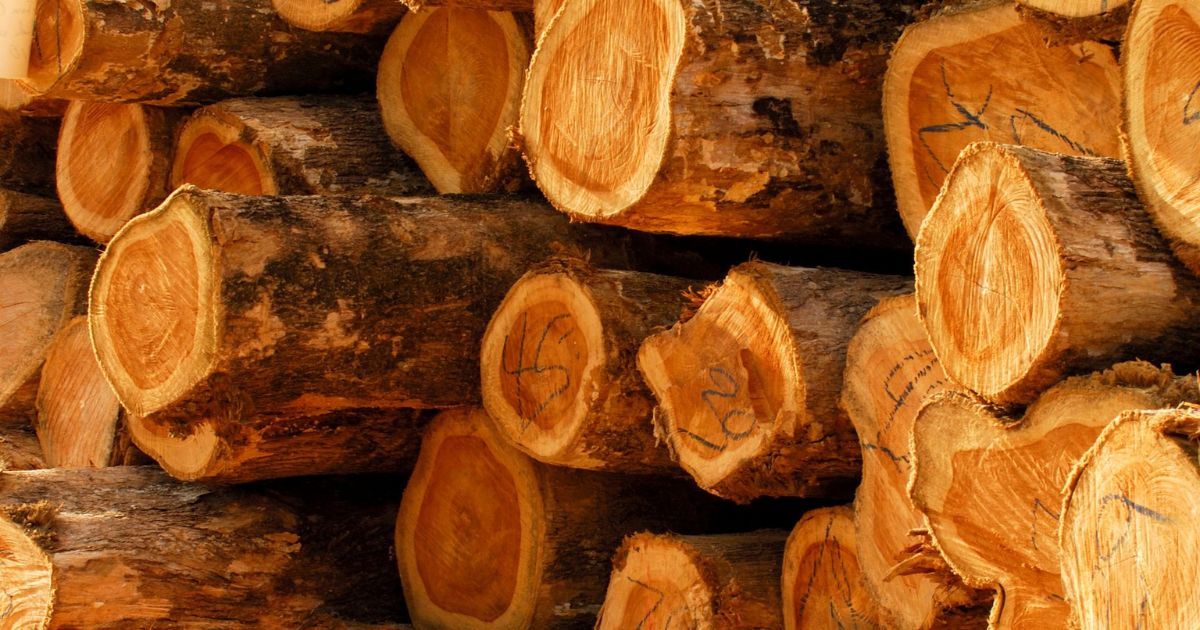 teak wood from indonesia