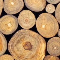 jepara teak wood type