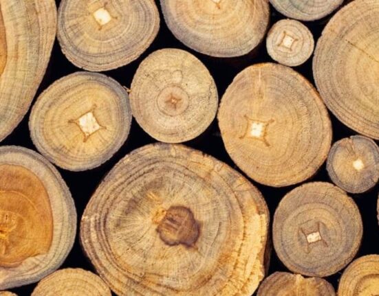 jepara teak wood type