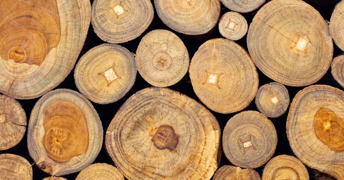 jepara teak wood type