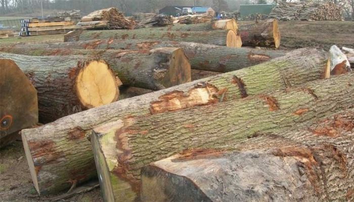 wood used for outdoor furniture