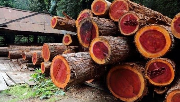 lumber for outdoor use