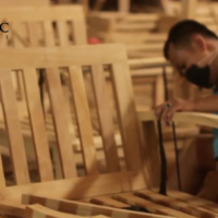 how to identify teak wood