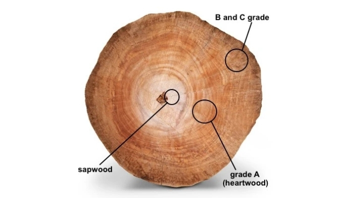 teak wood varieties based on grade