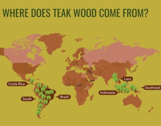 highest producer of teak wood