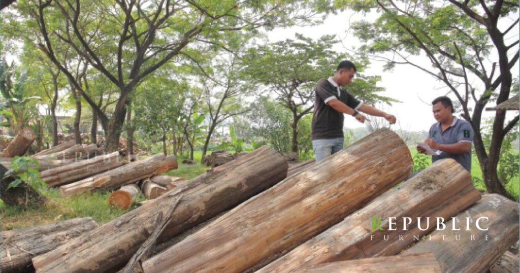 step 2 of teak furniture manufacturing process in republic furniture