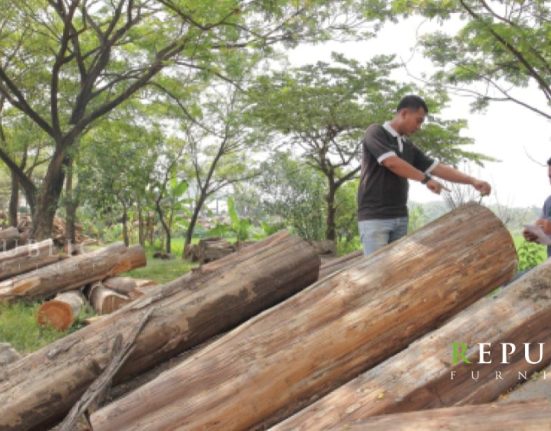 how to choose indonesia teak wood