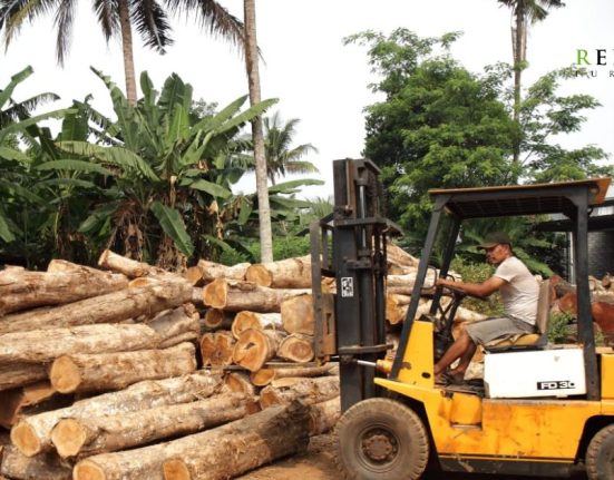 indonesian teak wood characteristics