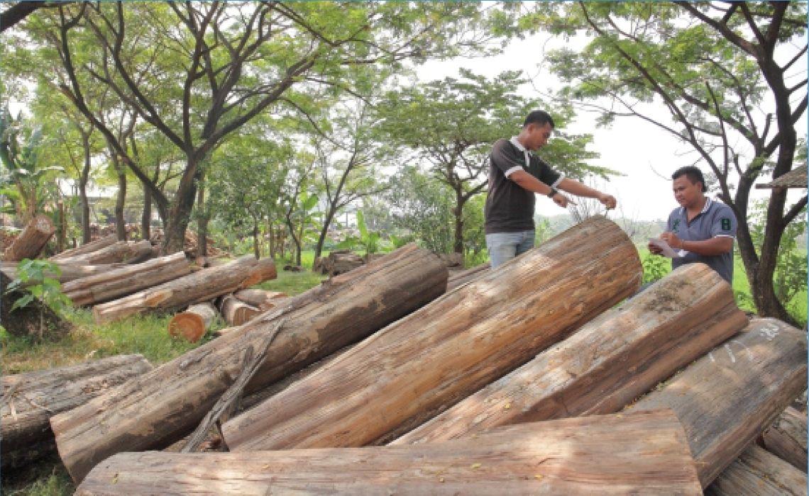 2. Raw Material Selection & Preparation